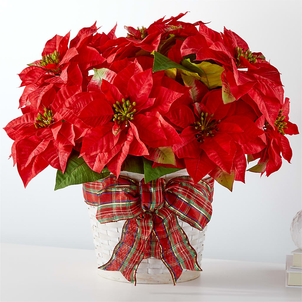 Happiest Holidays Poinsettia – Gcg Flowers, Cary NC