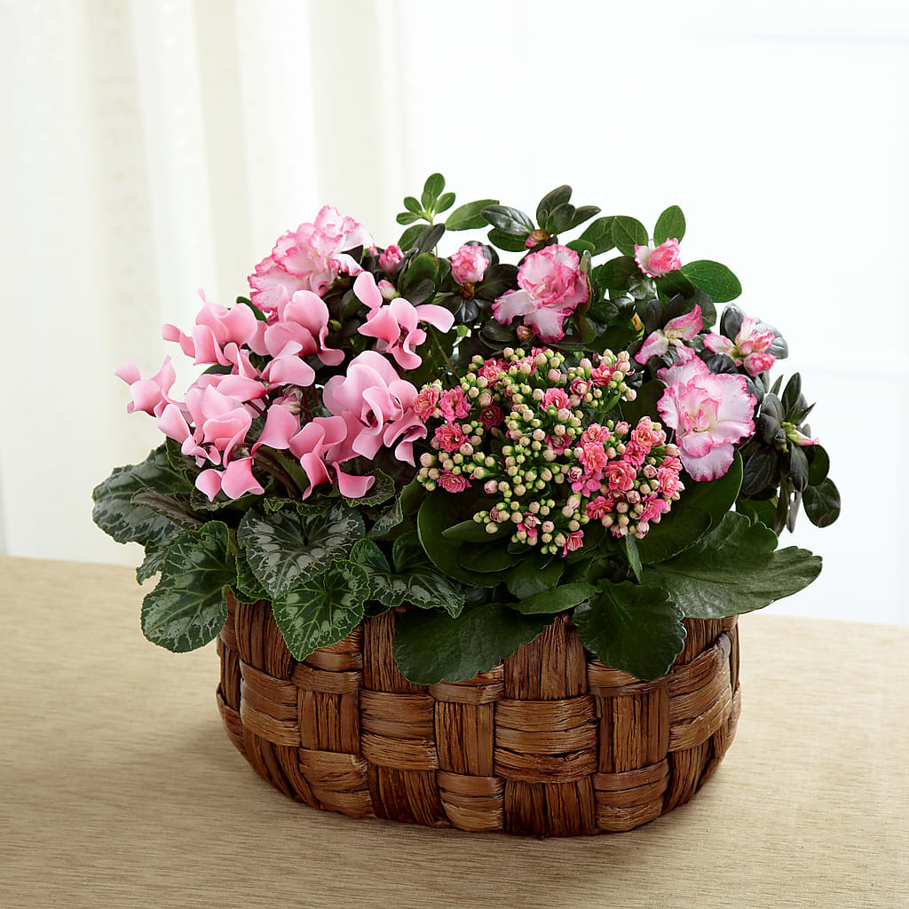 Pink Assortment – Gcg Flowers, Cary NC