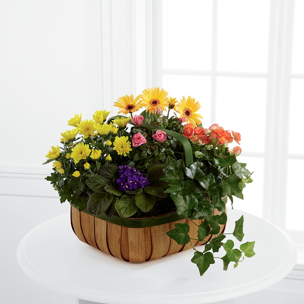 Gentle Blossoms Basket – Gcg Flowers, Cary NC