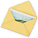 Greeting Card – Gcg Flowers, Cary NC