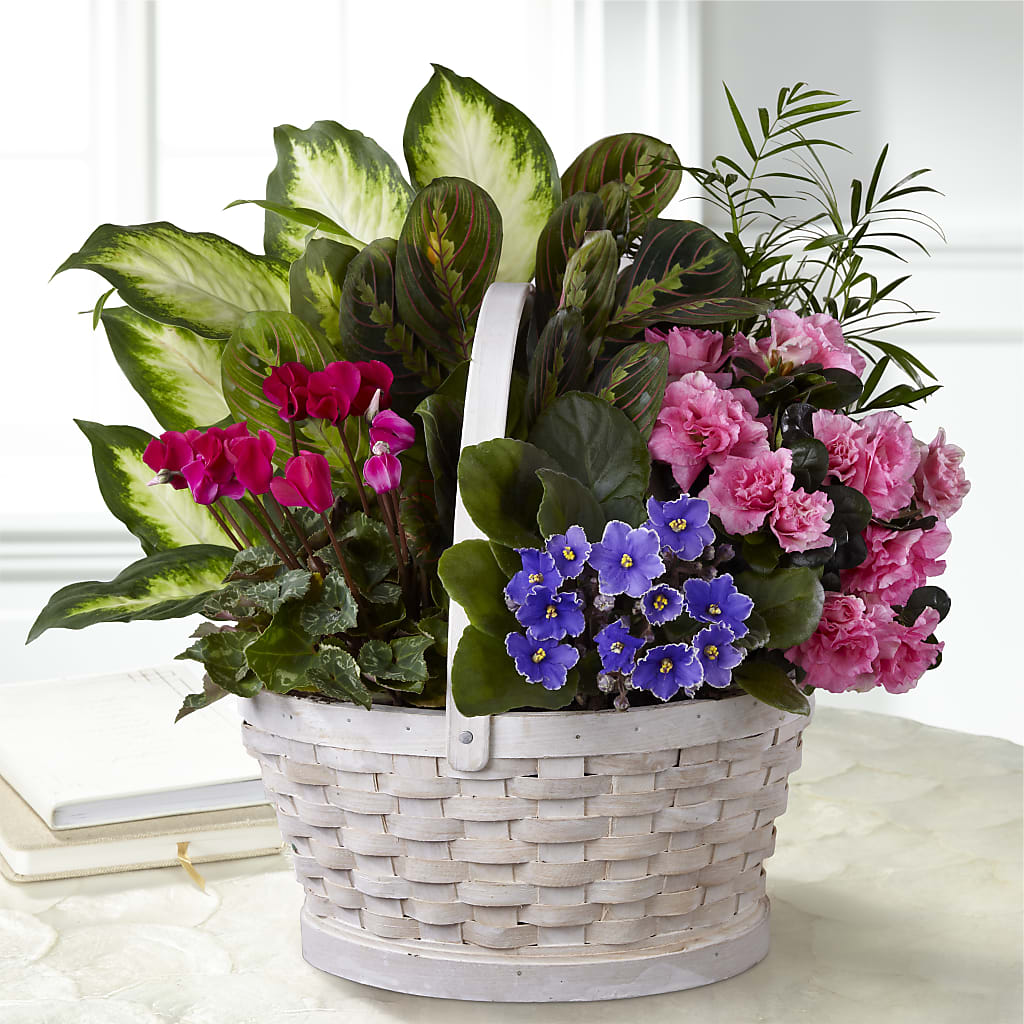 Peaceful Garden Planter – Gcg Flowers, Cary NC