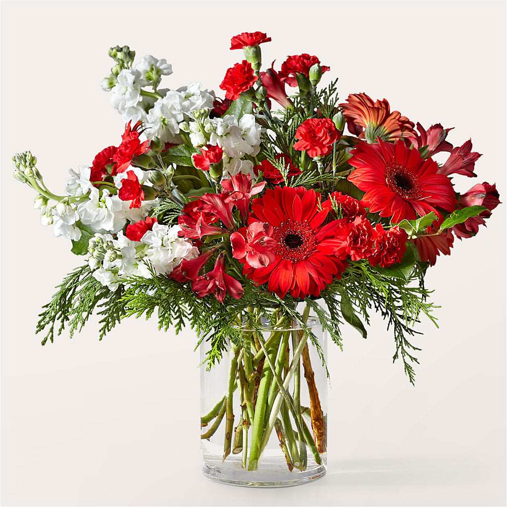Holidaisy Bouquet – Gcg Flowers, Cary NC