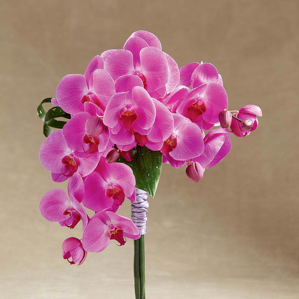 Glorious Bouquet – Gcg Flowers, Cary NC