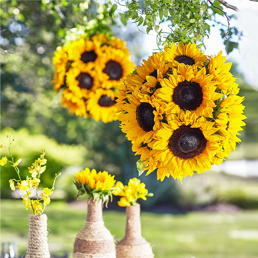 Sublime Garden Hanging Arrangement – Gcg Flowers, Cary NC