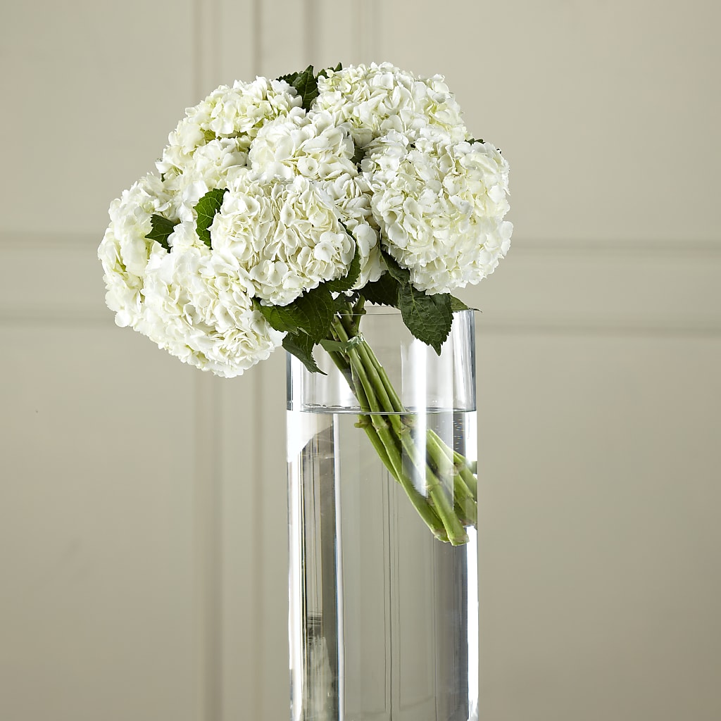 White Hydrangea Hand-Tied Bouquet – Gcg Flowers, Cary NC