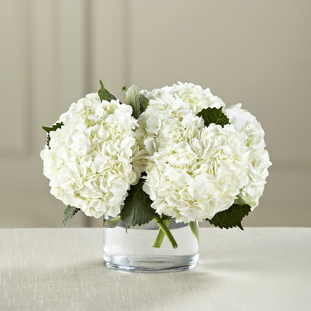 White Hydrangea Bouquet – Gcg Flowers, Cary NC