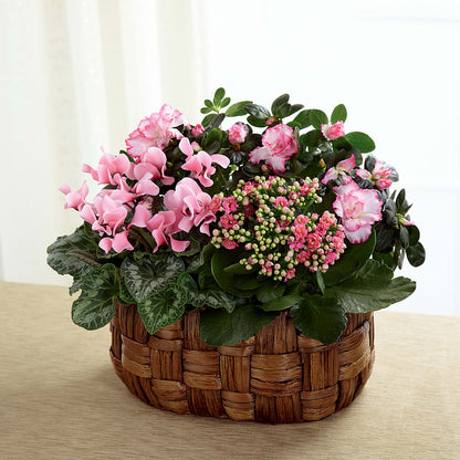 Pink Assortment –  Gcg Flowers, Cary NC