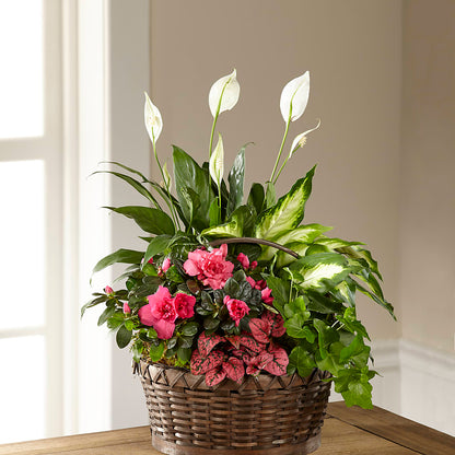 Dream in Pink Dishgarden –  Gcg Flowers, Cary NC