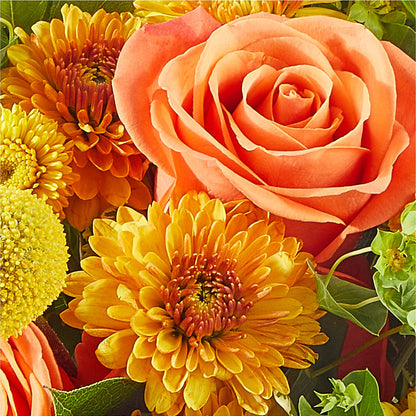 Gourdgeous Pumpkin –  Gcg Flowers, Cary NC