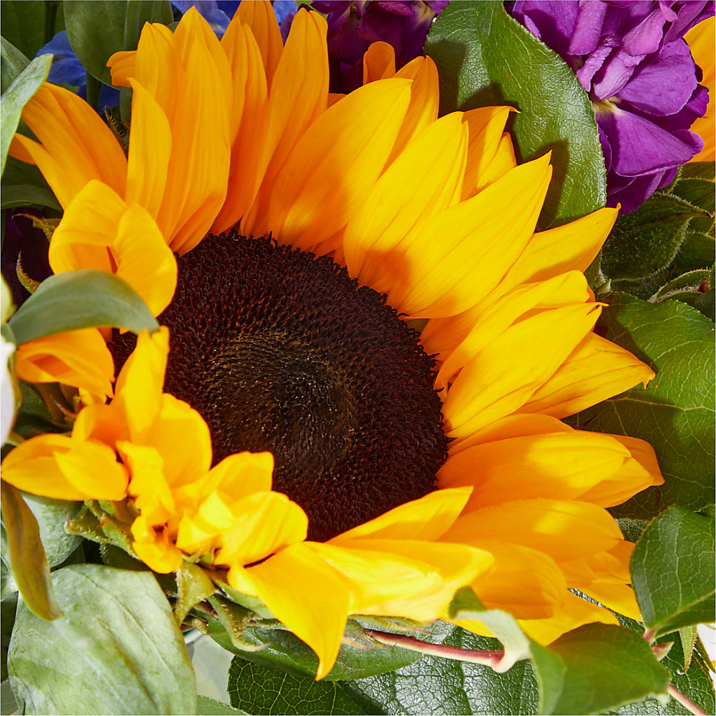 Catching Rays Bouquet –  Gcg Flowers, Cary NC
