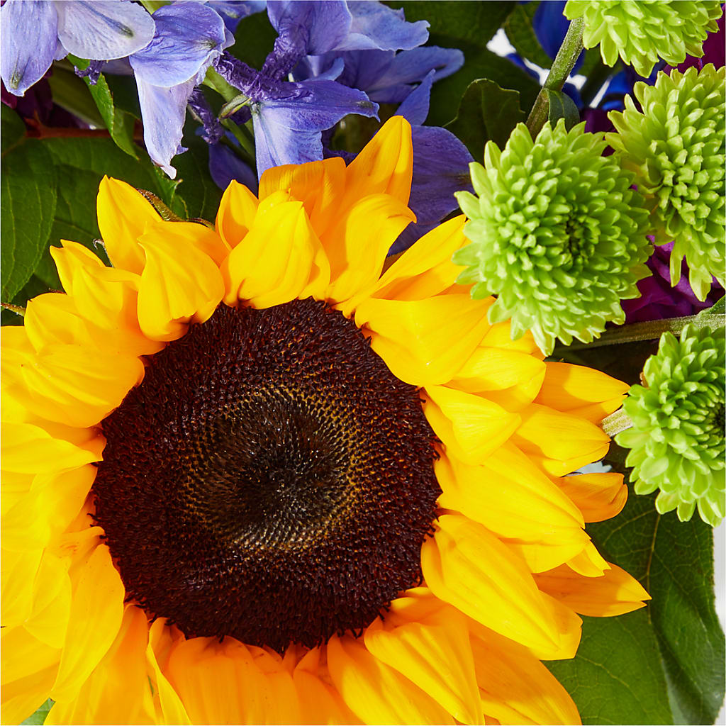 Catching Rays Bouquet –  Gcg Flowers, Cary NC