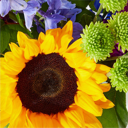 Catching Rays Bouquet –  Gcg Flowers, Cary NC