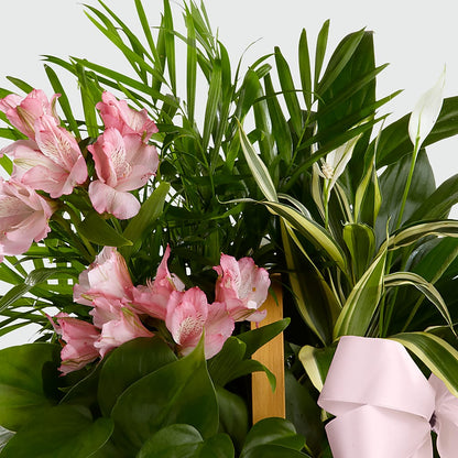 Living Spirit Dishgarden –  Gcg Flowers, Cary NC