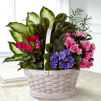 Peaceful Garden Planter –  Gcg Flowers, Cary NC