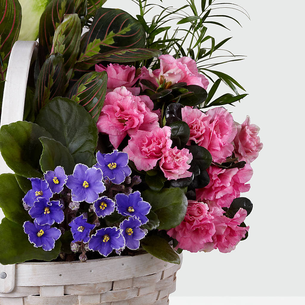 Peaceful Garden Planter –  Gcg Flowers, Cary NC