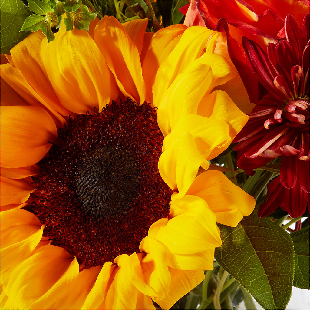 Harvest Festival Bouquet –  Gcg Flowers, Cary NC