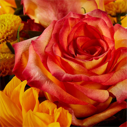 Picnic in the Park Bouquet –  Gcg Flowers, Cary NC