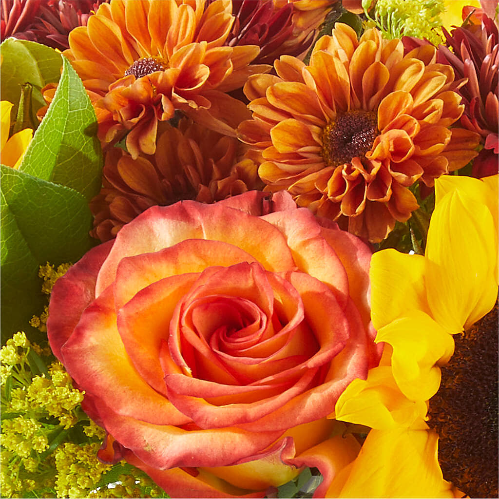 Flannel Scarf Bouquet –  Gcg Flowers, Cary NC