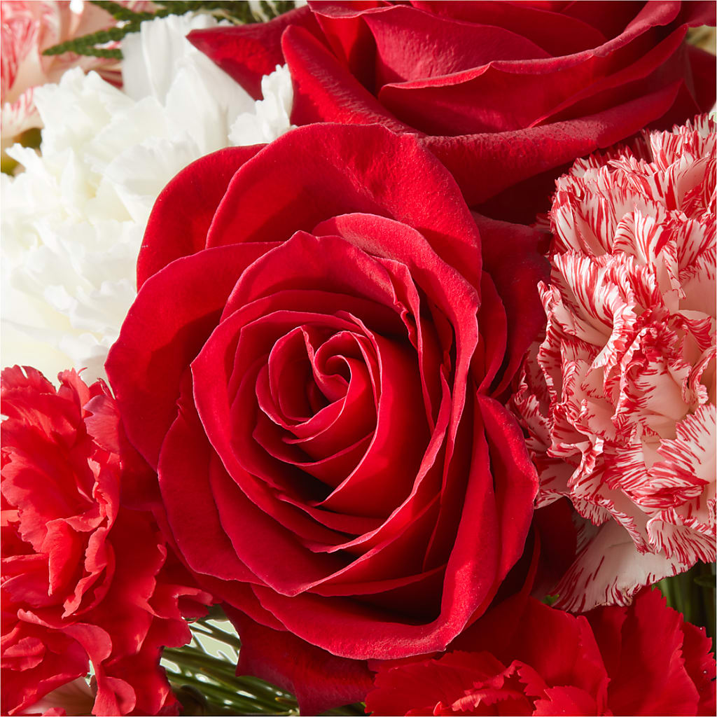 Candy Cane Lane Bouquet –  Gcg Flowers, Cary NC