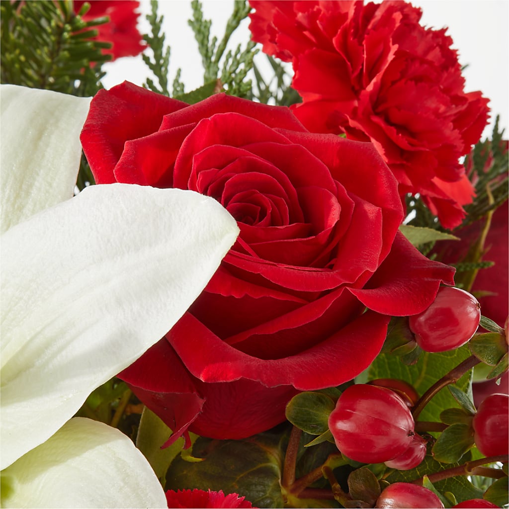 Oh So Jolly Bouquet –  Gcg Flowers, Cary NC