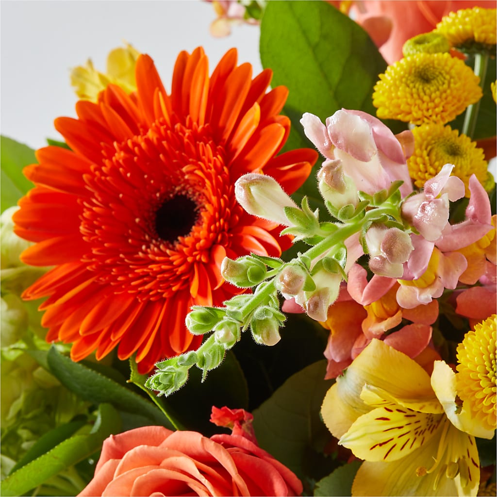 Autumn Sunshine Bouquet –  Gcg Flowers, Cary NC