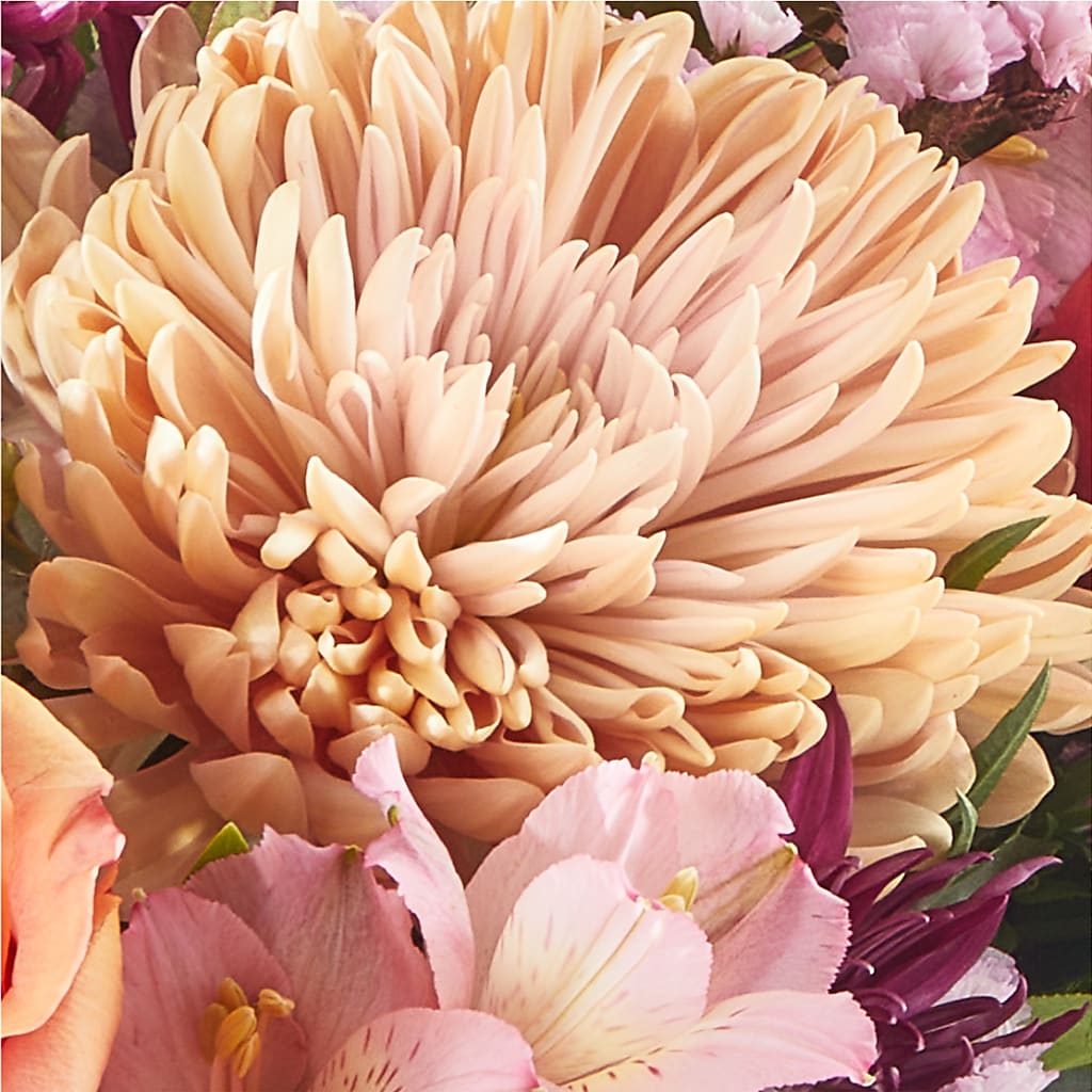 Berry Cobbler Bouquet –  Gcg Flowers, Cary NC