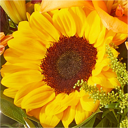 Seasons Change Bouquet –  Gcg Flowers, Cary NC