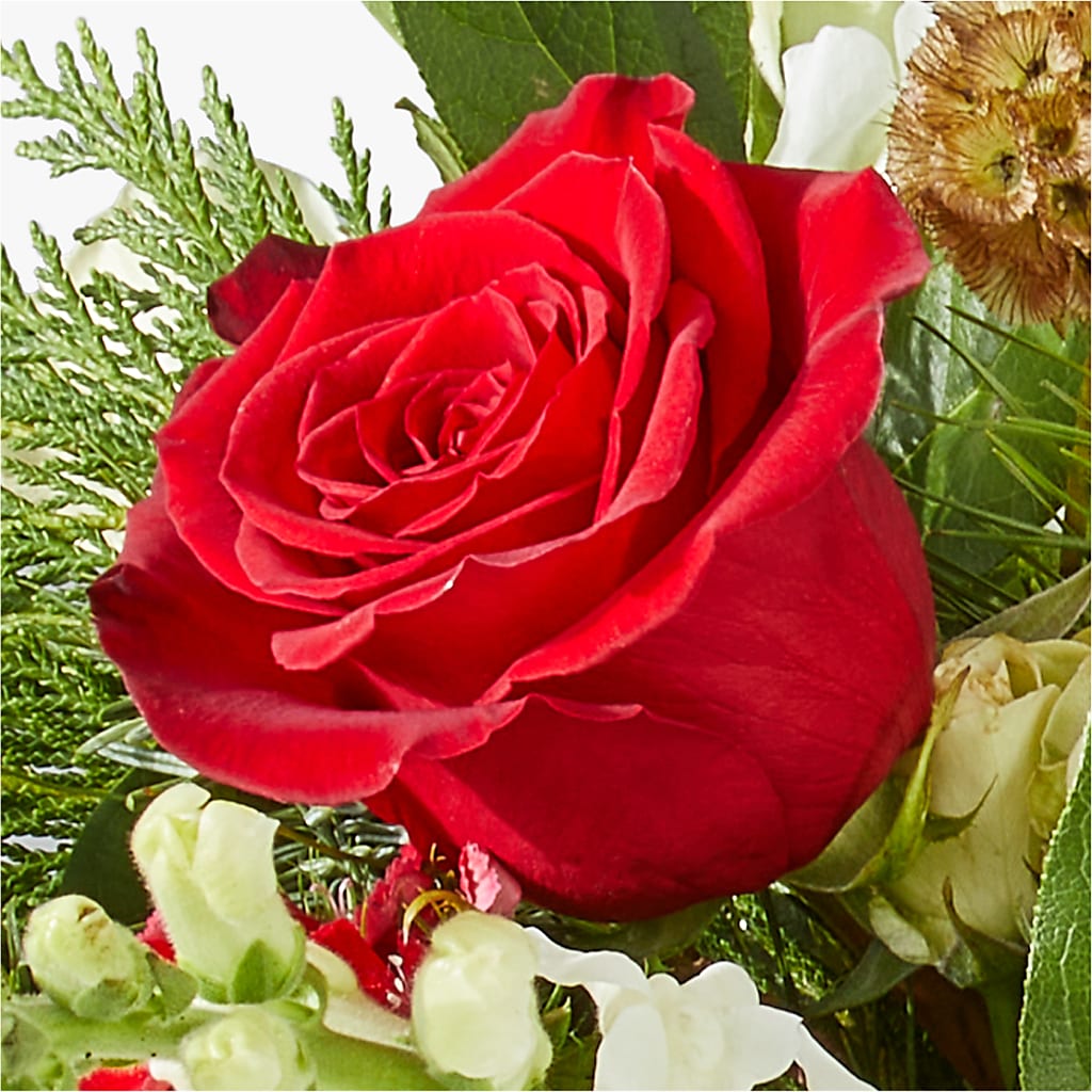 Deck the Halls Bouquet –  Gcg Flowers, Cary NC