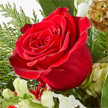 Deck the Halls Bouquet –  Gcg Flowers, Cary NC