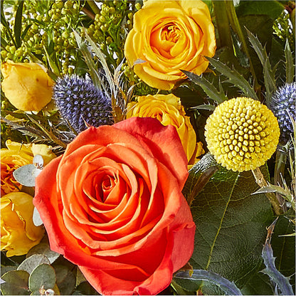Disco Bouquet –  Gcg Flowers, Cary NC