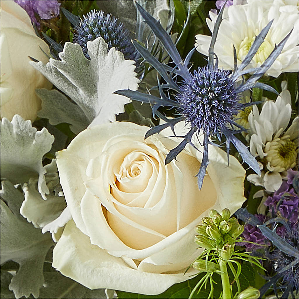 Shooting Star Bouquet –  Gcg Flowers, Cary NC