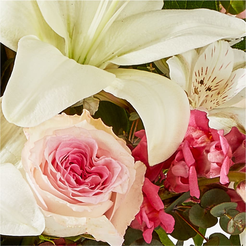Ballet Slippers Bouquet –  Gcg Flowers, Cary NC
