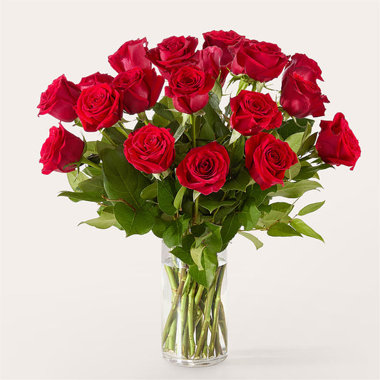 The One Red Rose Bouquet –  Gcg Flowers, Cary NC