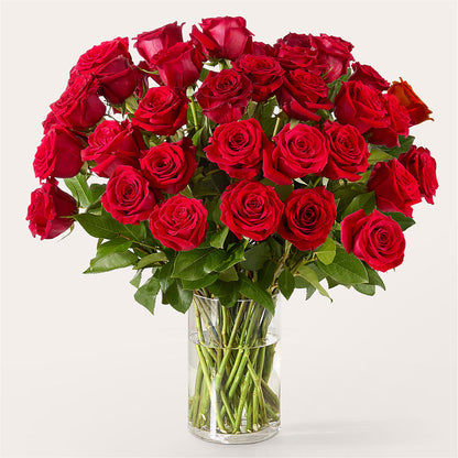 The One Red Rose Bouquet –  Gcg Flowers, Cary NC