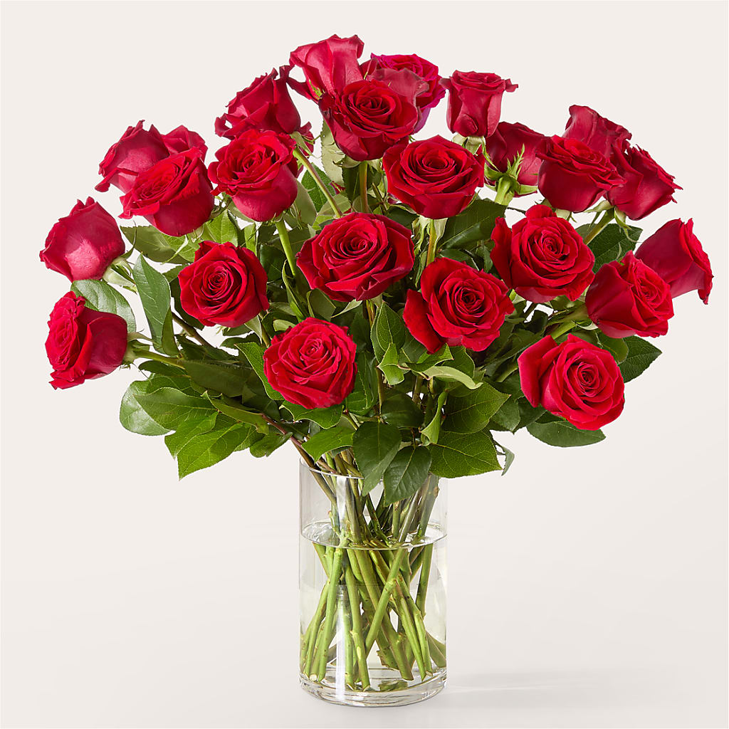 The One Red Rose Bouquet –  Gcg Flowers, Cary NC