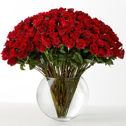 The Idealist –  Gcg Flowers, Cary NC