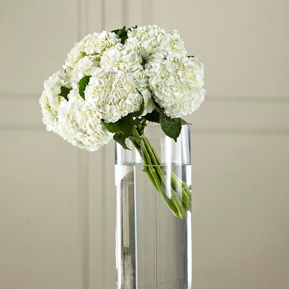 White Hydrangea Hand-Tied Bouquet –  Gcg Flowers, Cary NC