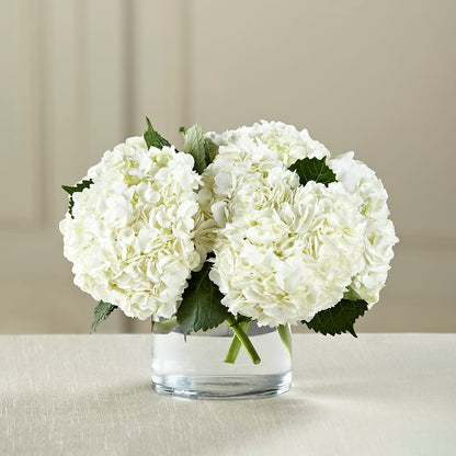 White Hydrangea Bouquet –  Gcg Flowers, Cary NC